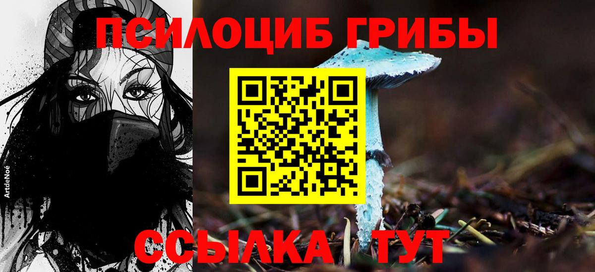Галлюциногенные грибы Magic Shrooms  Галлюциногенные грибы GOLDEN TEACHER  Вход с VPN  Прокопьевск 